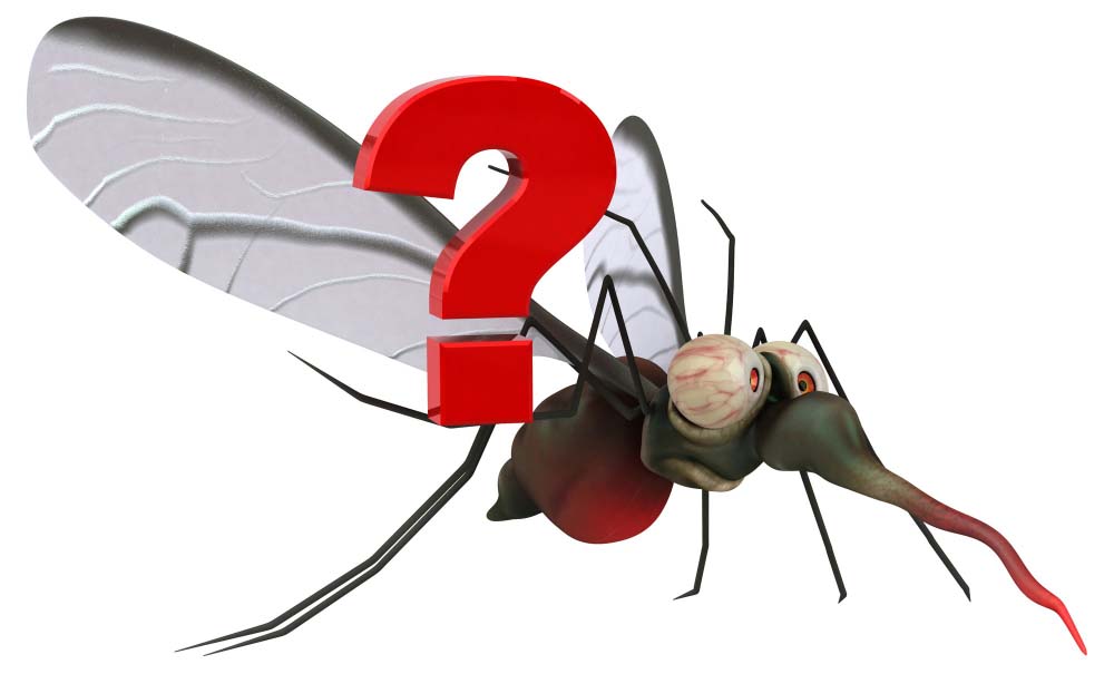World Mosquito Day awareness graphic by Intermediation Foundation Nigeria promoting mosquito prevention and healthier communities.